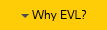 Why EVL?